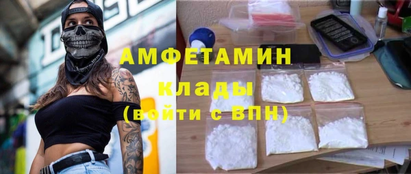 метадон Алексин
